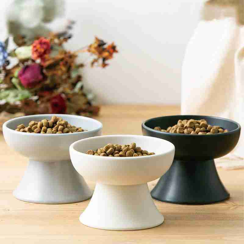 Pet Bowls